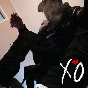 Meet your Posher, Tashan